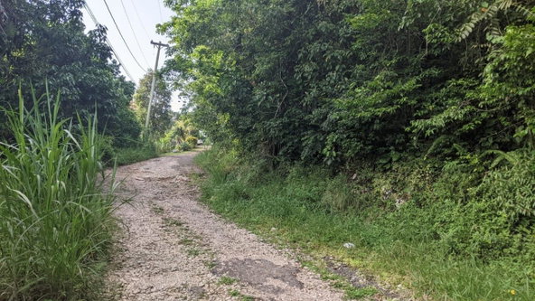 Fourth image of Lot 102 Cooper's Hill in Coopers Hill, St. Andrew, Jamaica - property is For Sale