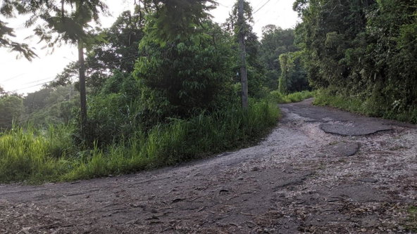 Fifth image of Lot 102 Cooper's Hill in Coopers Hill, St. Andrew, Jamaica - property is For Sale