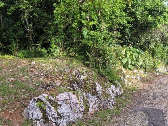 First image of Lot 102 Cooper's Hill in Coopers Hill, St. Andrew, Jamaica - property is For Sale