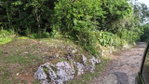 First image of Lot 102 Cooper's Hill in Coopers Hill, St. Andrew, Jamaica - property is For Sale