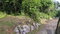 First image of Lot 102 Cooper's Hill in Coopers Hill, St. Andrew, Jamaica - property is For Sale