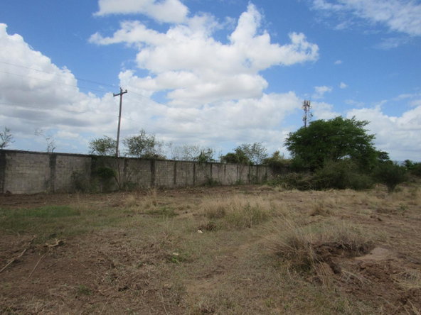 Twelfth image of Lot 219-1 Foga Road in Denbigh, Clarendon, Jamaica - property is For Sale