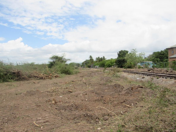 Thirteenth image of Lot 219-1 Foga Road in Denbigh, Clarendon, Jamaica - property is For Sale