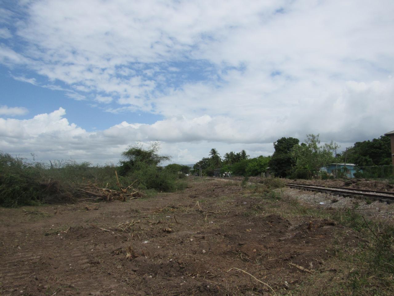 Fourteenth image of Lot 219-1 Foga Road in Denbigh, Clarendon, Jamaica - property is For Sale