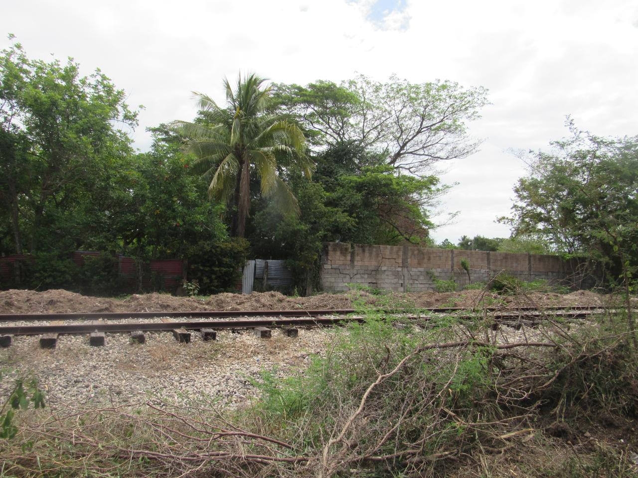 Seventeenth image of Lot 219-1 Foga Road in Denbigh, Clarendon, Jamaica - property is For Sale