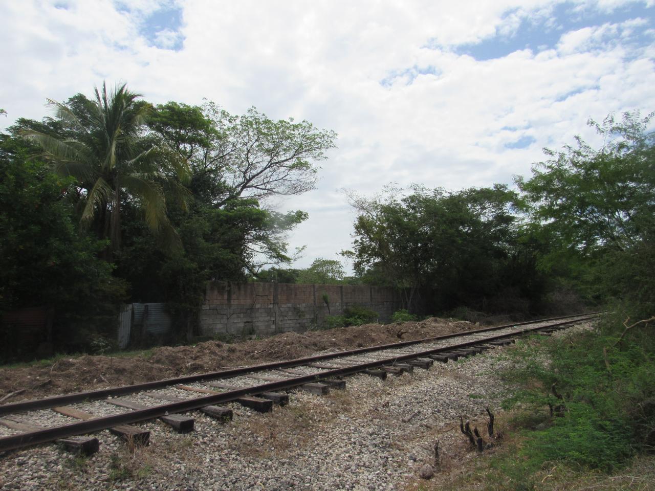 Nineteenth image of Lot 219-1 Foga Road in Denbigh, Clarendon, Jamaica - property is For Sale