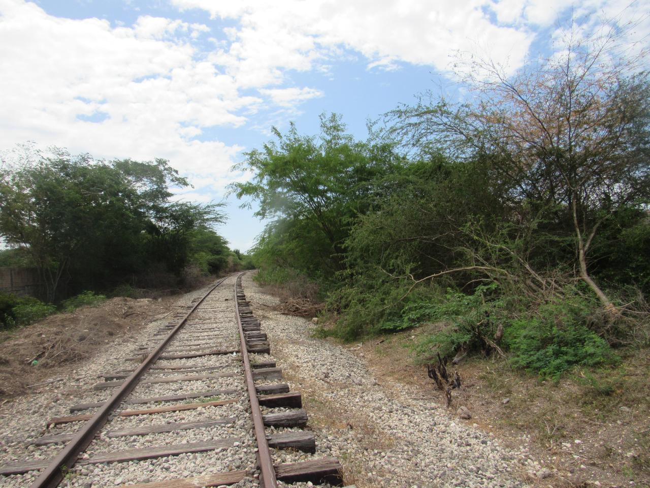 Twenty-First image of Lot 219-1 Foga Road in Denbigh, Clarendon, Jamaica - property is For Sale