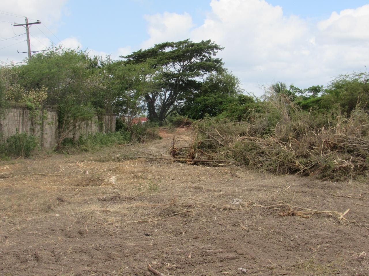 Fourth image of Lot 219-1 Foga Road in Denbigh, Clarendon, Jamaica - property is For Sale