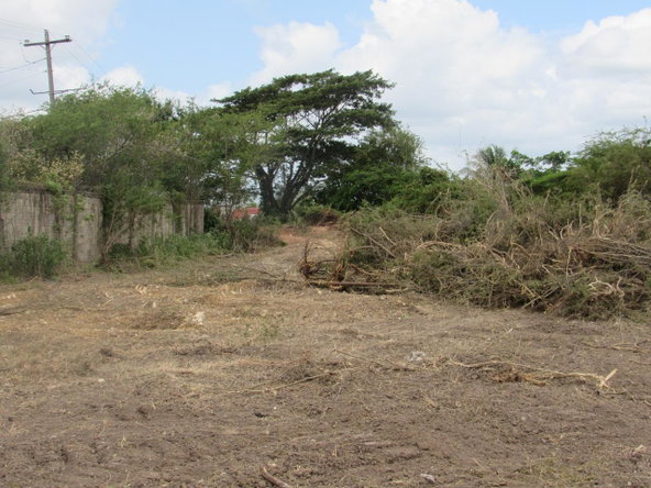 Fourth image of Lot 219-1 Foga Road in Denbigh, Clarendon, Jamaica - property is For Sale