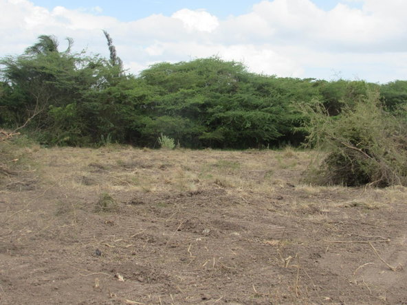 Fifth image of Lot 219-1 Foga Road in Denbigh, Clarendon, Jamaica - property is For Sale
