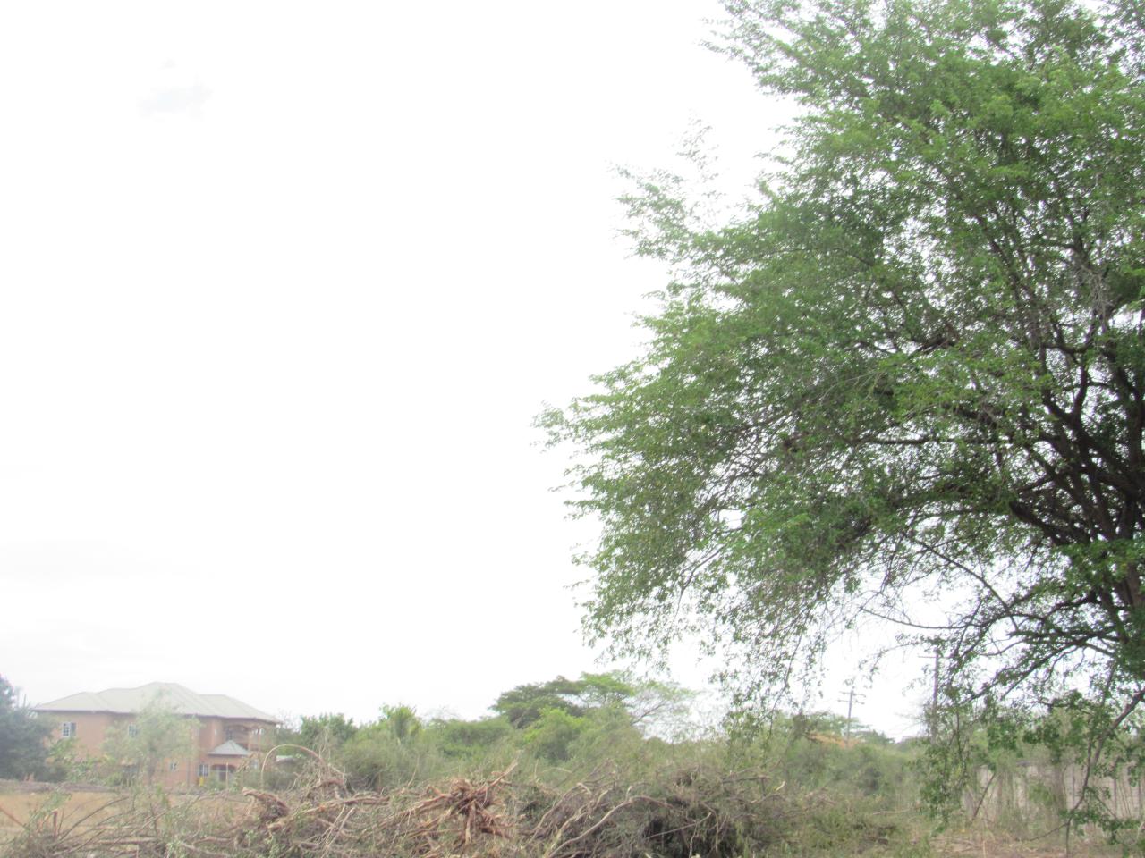 Sixth image of Lot 219-1 Foga Road in Denbigh, Clarendon, Jamaica - property is For Sale