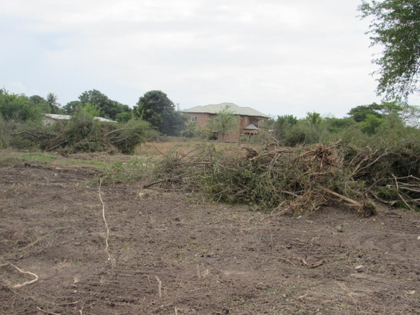 Seventh image of Lot 219-1 Foga Road in Denbigh, Clarendon, Jamaica - property is For Sale