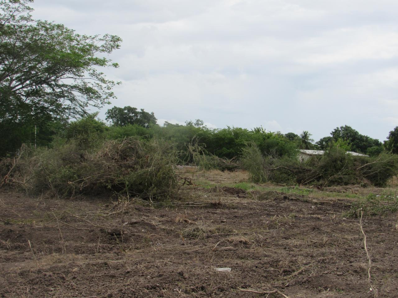 Eighth image of Lot 219-1 Foga Road in Denbigh, Clarendon, Jamaica - property is For Sale