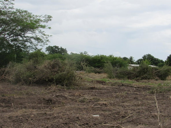 Eighth image of Lot 219-1 Foga Road in Denbigh, Clarendon, Jamaica - property is For Sale
