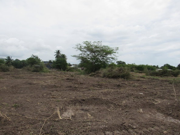 Ninth image of Lot 219-1 Foga Road in Denbigh, Clarendon, Jamaica - property is For Sale