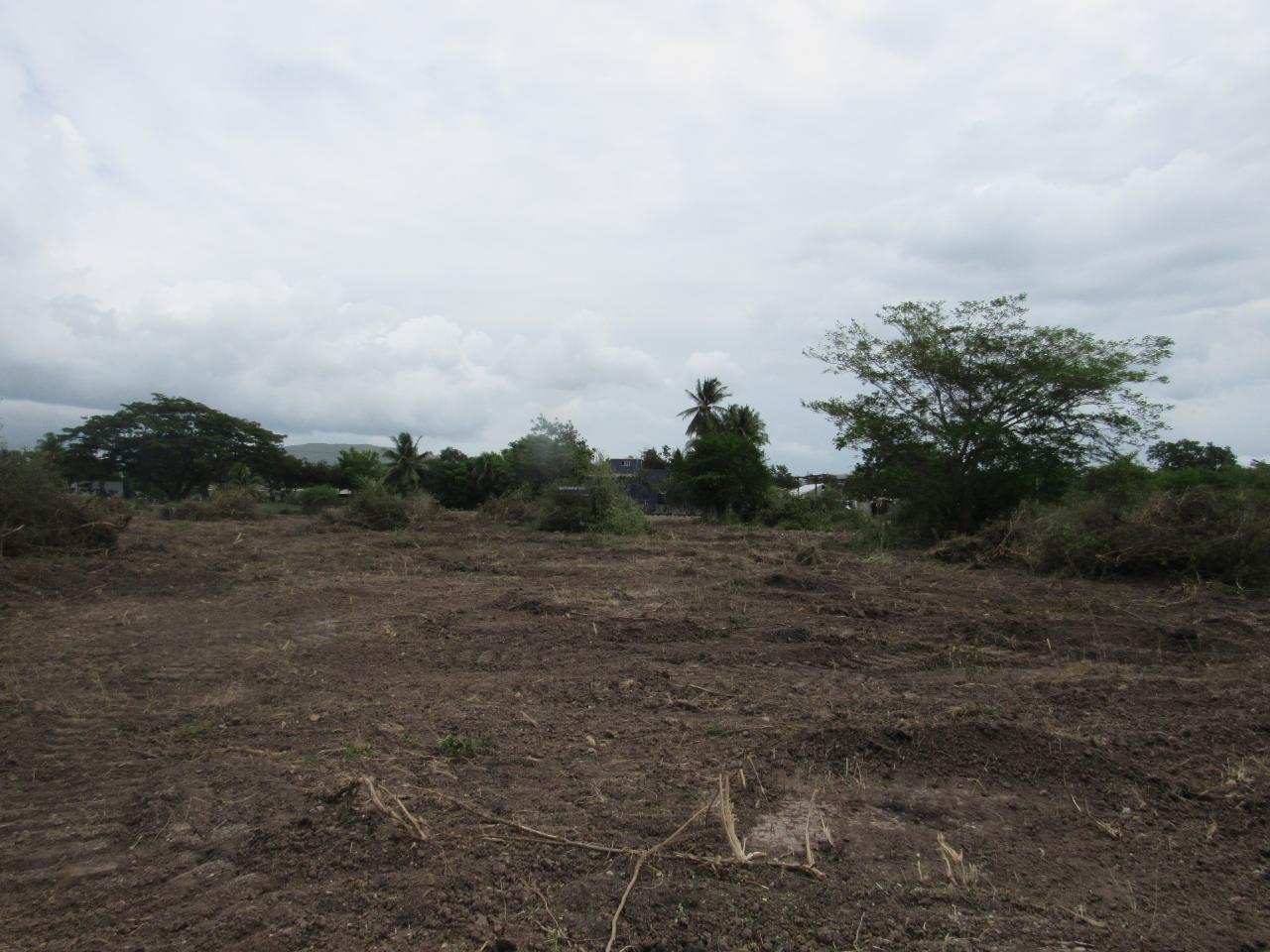 Tenth image of Lot 219-1 Foga Road in Denbigh, Clarendon, Jamaica - property is For Sale