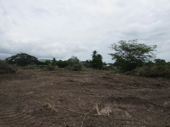 Tenth image of Lot 219-1 Foga Road in Denbigh, Clarendon, Jamaica - property is For Sale