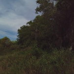 First image of Lot 95 Belle Air Hopewell, Disc in Hopewell, St. Ann, Jamaica - property is For Sale