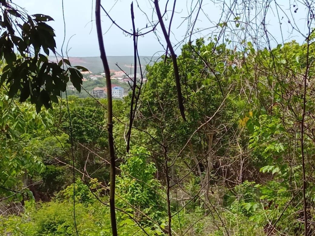 Third image of Lot 95 Belle Air Hopewell, Disc in Hopewell, St. Ann, Jamaica - property is For Sale