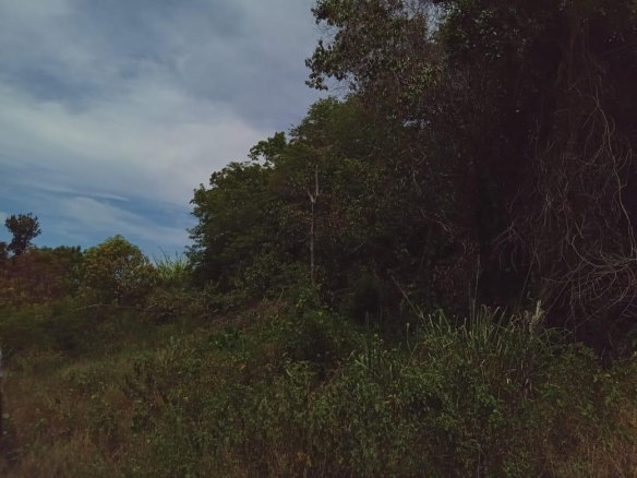 First image of Lot 95 Belle Air Hopewell, Disc in Hopewell, St. Ann, Jamaica - property is For Sale