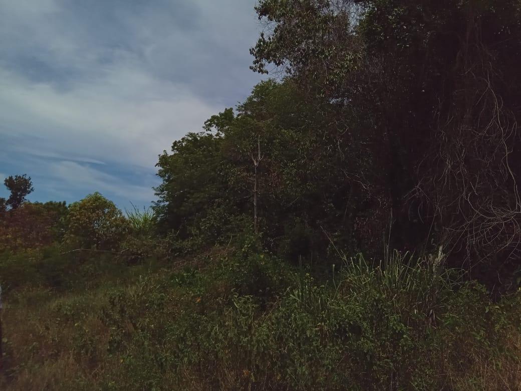 First image of Lot 95 Belle Air Hopewell, Disc in Hopewell, St. Ann, Jamaica - property is For Sale