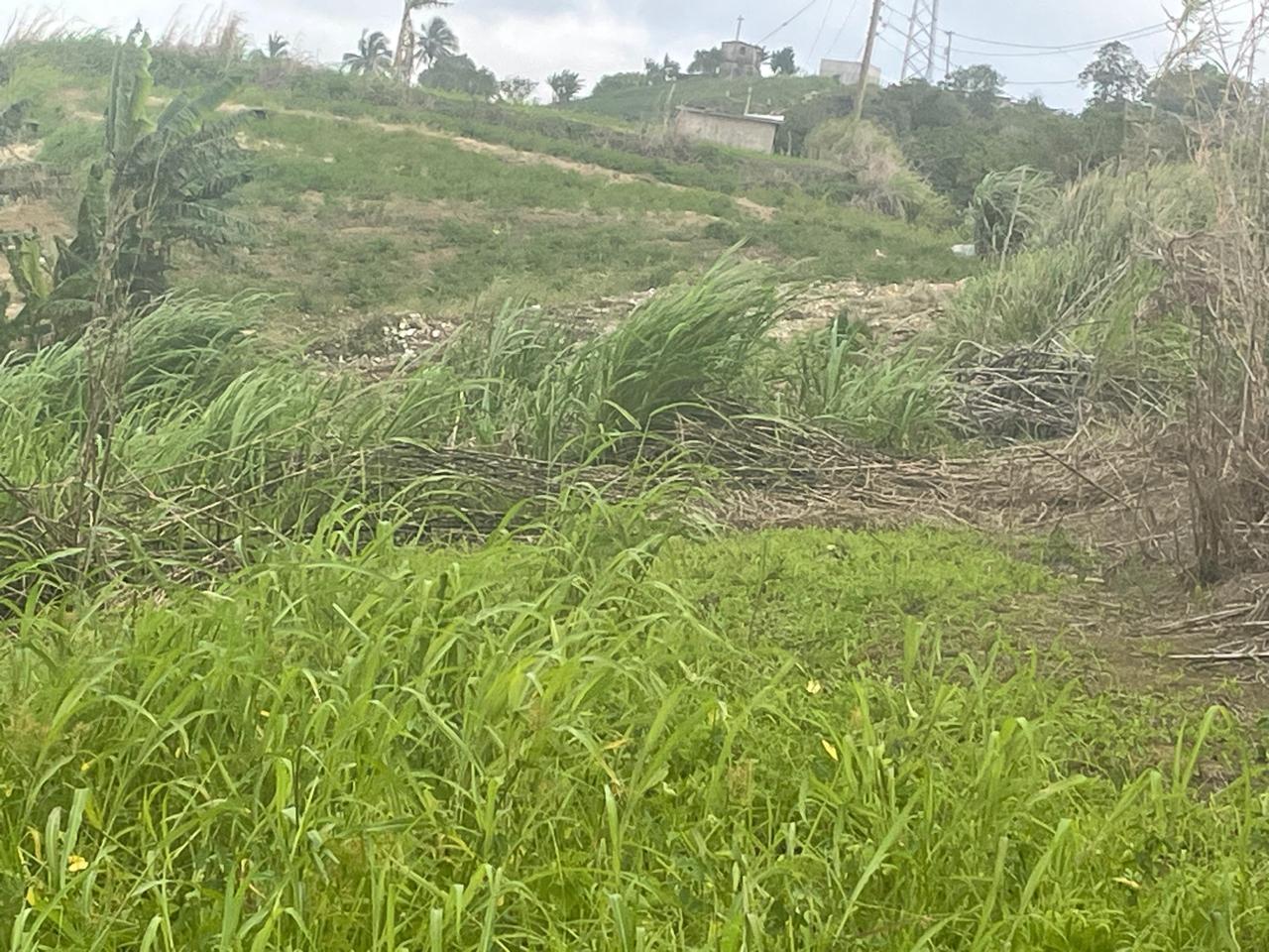 Second image of Lilyfield, Bamboo in Bamboo, St. Ann, Jamaica - property is For Sale