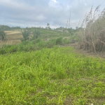First image of Lilyfield, Bamboo in Bamboo, St. Ann, Jamaica - property is For Sale