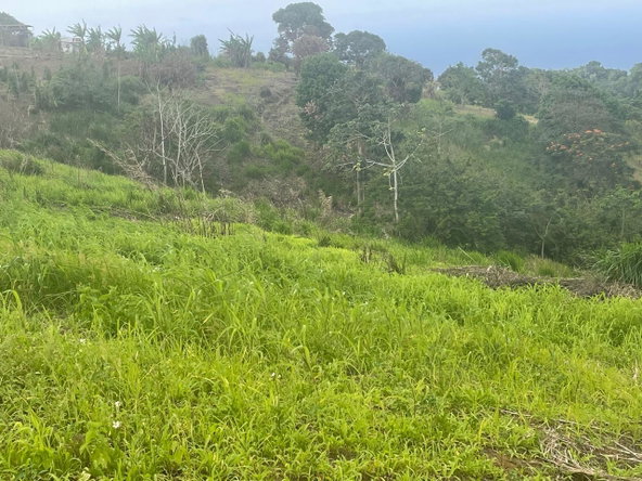 Sixth image of Lilyfield, Bamboo in Bamboo, St. Ann, Jamaica - property is For Sale