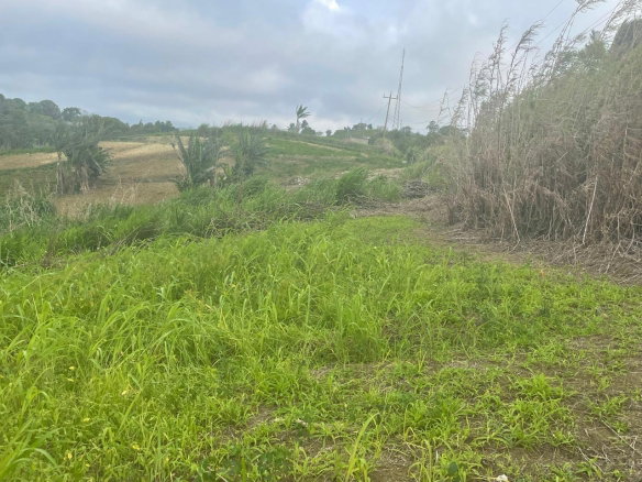 First image of Lilyfield, Bamboo in Bamboo, St. Ann, Jamaica - property is For Sale