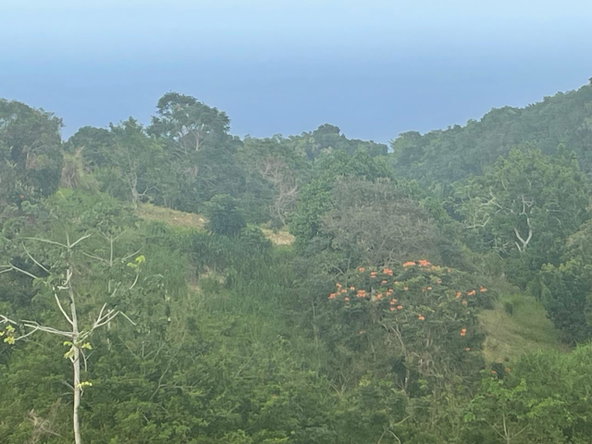 Seventh image of Lilyfield, Bamboo in Bamboo, St. Ann, Jamaica - property is For Sale