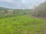First image of Lilyfield, Bamboo in Bamboo, St. Ann, Jamaica - property is For Sale