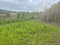 First image of Lilyfield, Bamboo in Bamboo, St. Ann, Jamaica - property is For Sale