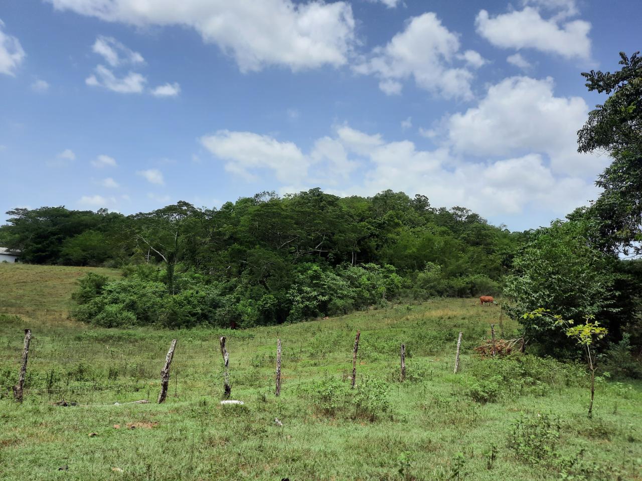 Second image of 27 Phantilands in Santa Cruz, St. Elizabeth, Jamaica - property is For Sale