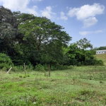 First image of 27 Phantilands in Santa Cruz, St. Elizabeth, Jamaica - property is For Sale