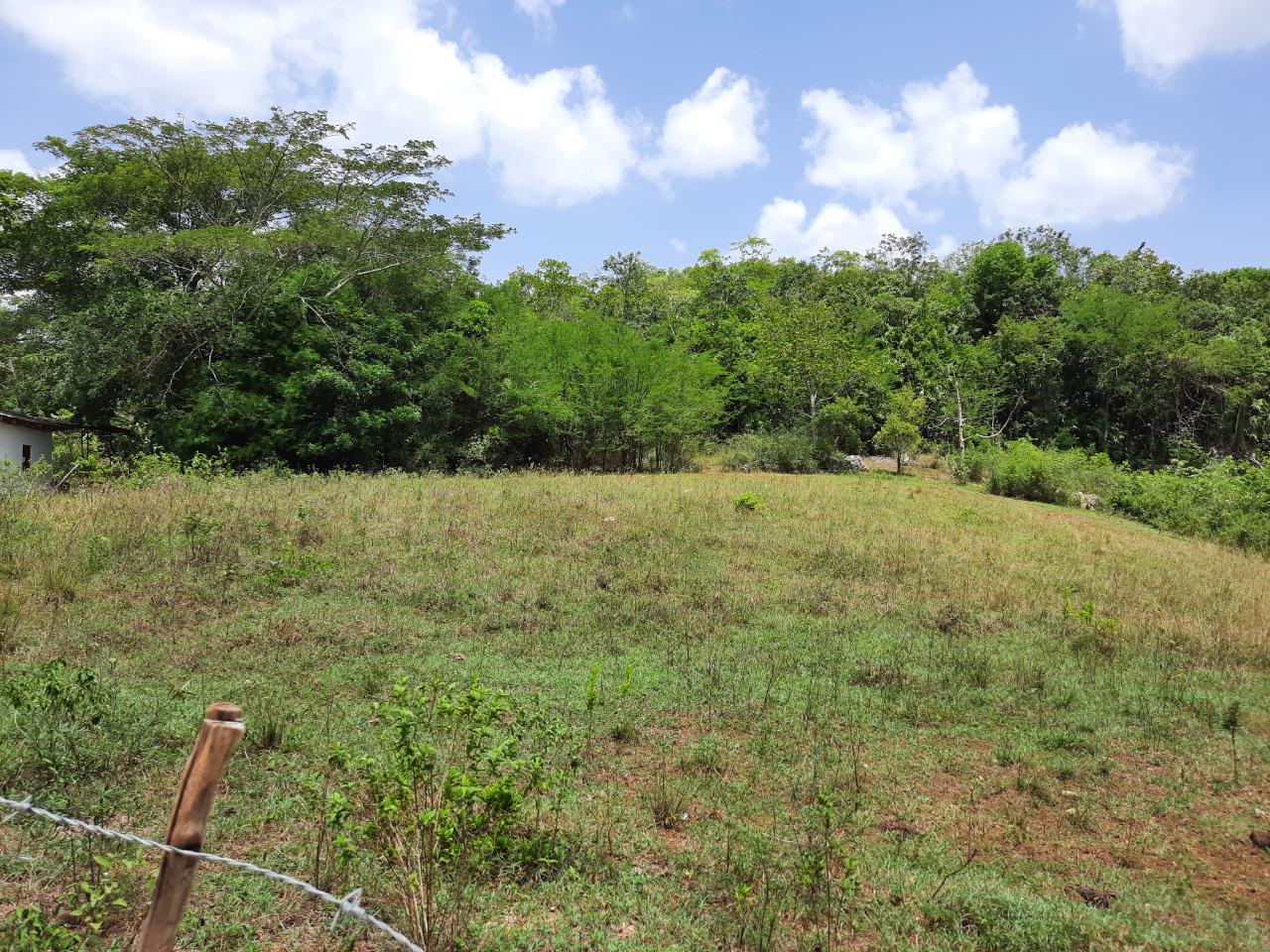 Third image of 27 Phantilands in Santa Cruz, St. Elizabeth, Jamaica - property is For Sale