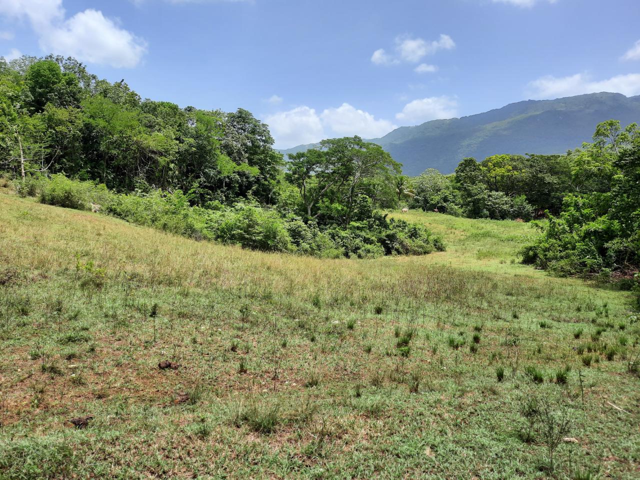 Fourth image of 27 Phantilands in Santa Cruz, St. Elizabeth, Jamaica - property is For Sale
