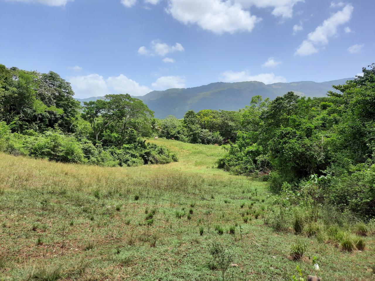 Fifth image of 27 Phantilands in Santa Cruz, St. Elizabeth, Jamaica - property is For Sale