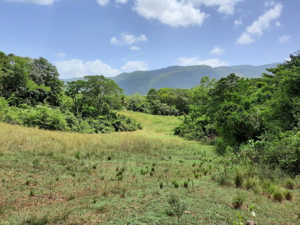 Fifth image of 27 Phantilands in Santa Cruz, St. Elizabeth, Jamaica - property is For Sale