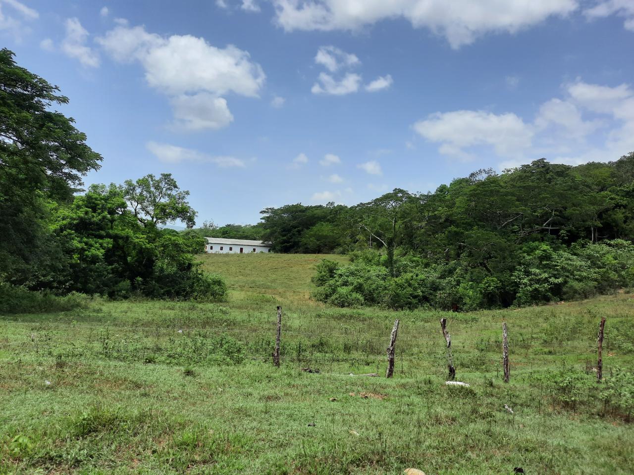 Sixth image of 27 Phantilands in Santa Cruz, St. Elizabeth, Jamaica - property is For Sale