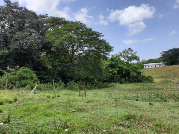 First image of 27 Phantilands in Santa Cruz, St. Elizabeth, Jamaica - property is For Sale