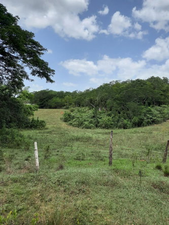 Seventh image of 27 Phantilands in Santa Cruz, St. Elizabeth, Jamaica - property is For Sale
