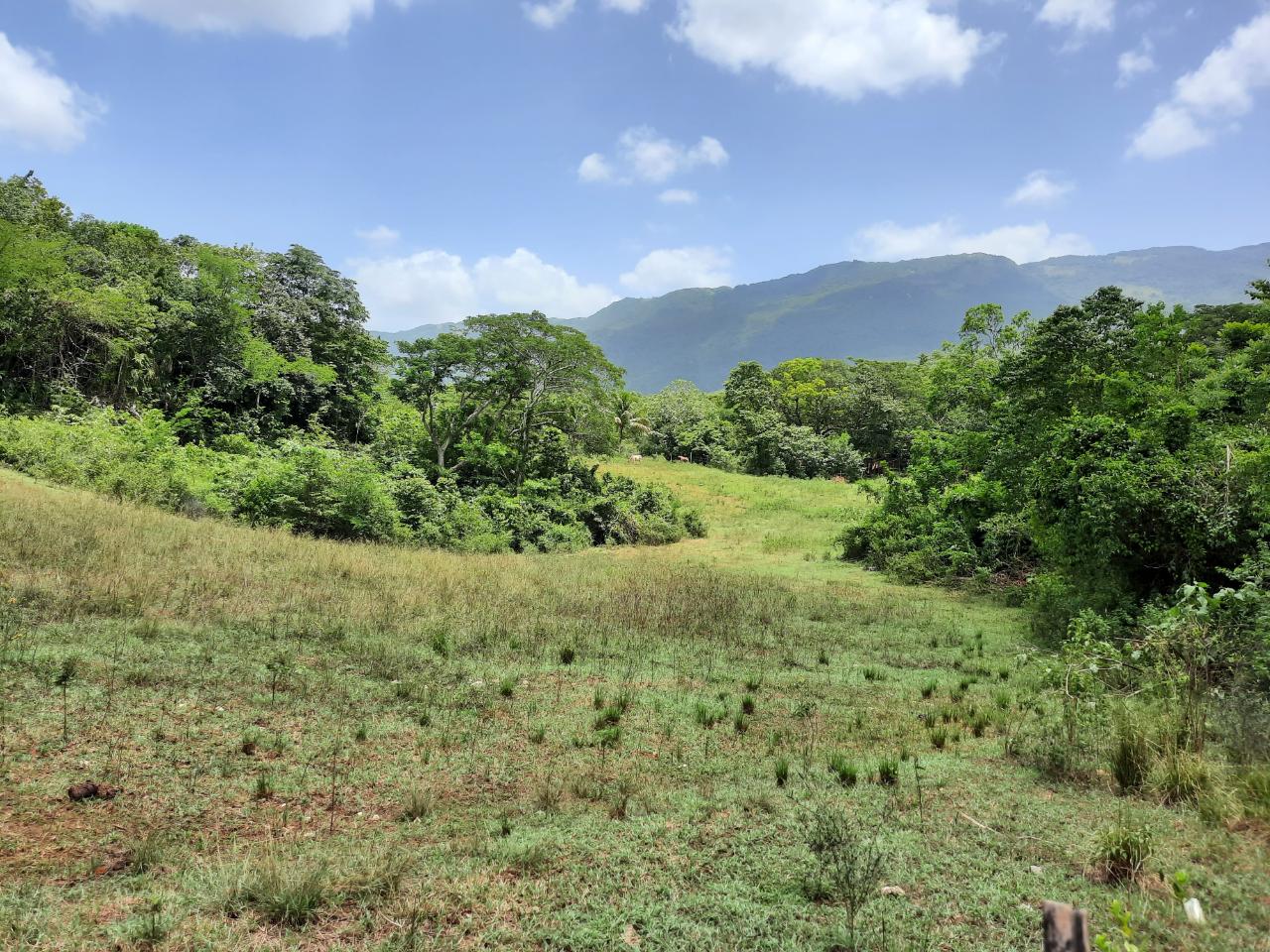 Eighth image of 27 Phantilands in Santa Cruz, St. Elizabeth, Jamaica - property is For Sale