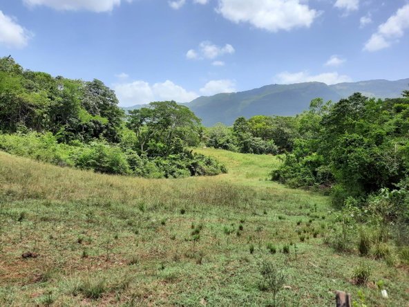 Eighth image of 27 Phantilands in Santa Cruz, St. Elizabeth, Jamaica - property is For Sale