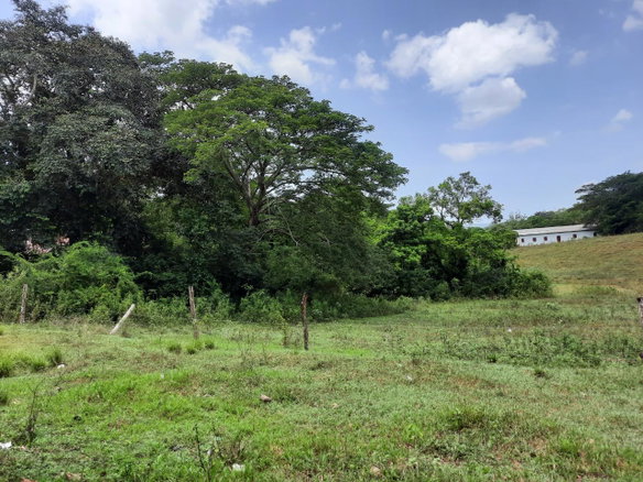 First image of 27 Phantilands in Santa Cruz, St. Elizabeth, Jamaica - property is For Sale