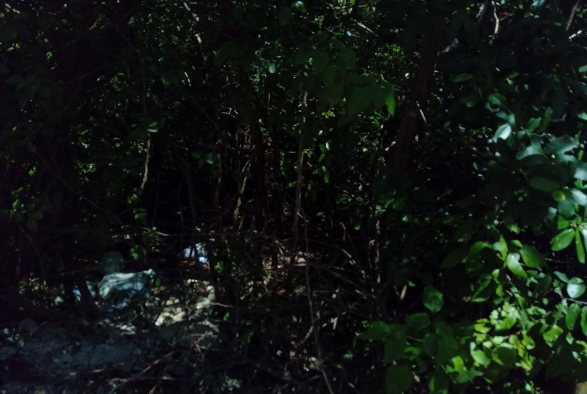 Second image of Old Hope Road in OLD HOPE PEN, Westmoreland, Jamaica - property is For Sale