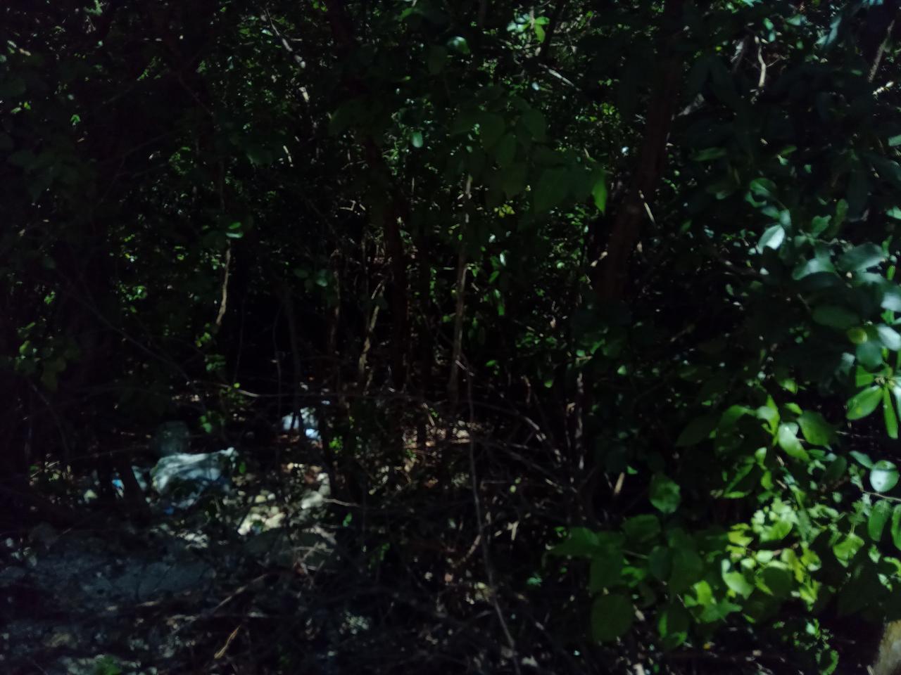 Second image of Old Hope Road in OLD HOPE PEN, Westmoreland, Jamaica - property is For Sale