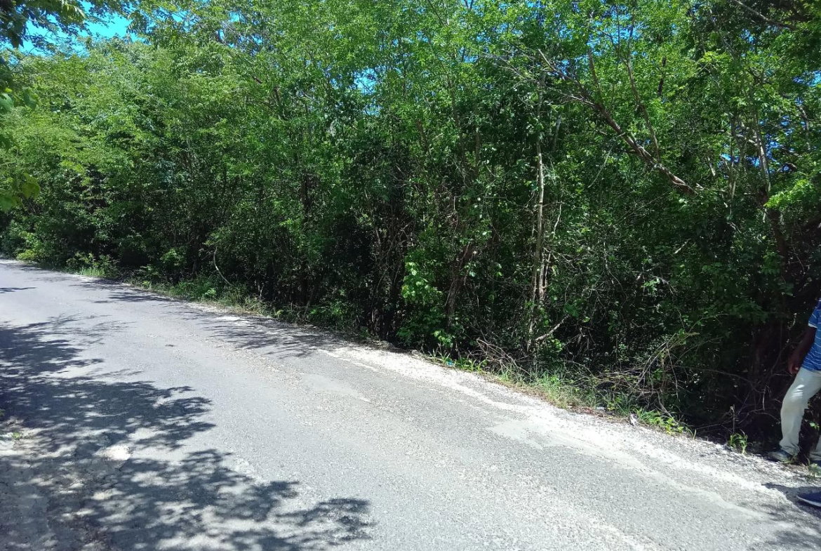 First image of Old Hope Road in OLD HOPE PEN, Westmoreland, Jamaica - property is For Sale