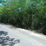 First image of Old Hope Road in OLD HOPE PEN, Westmoreland, Jamaica - property is For Sale