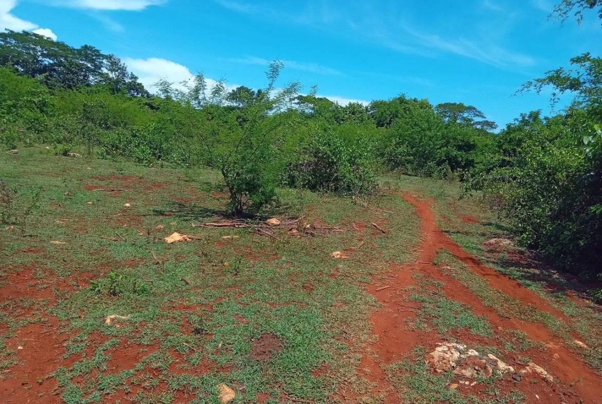 Sixth image of Old Hope Road in OLD HOPE PEN, Westmoreland, Jamaica - property is For Sale