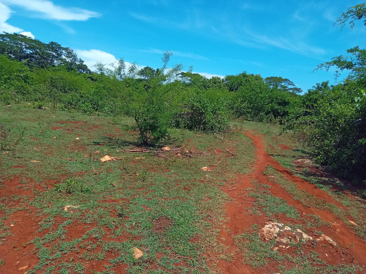 Sixth image of Old Hope Road in OLD HOPE PEN, Westmoreland, Jamaica - property is For Sale